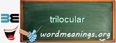 WordMeaning blackboard for trilocular